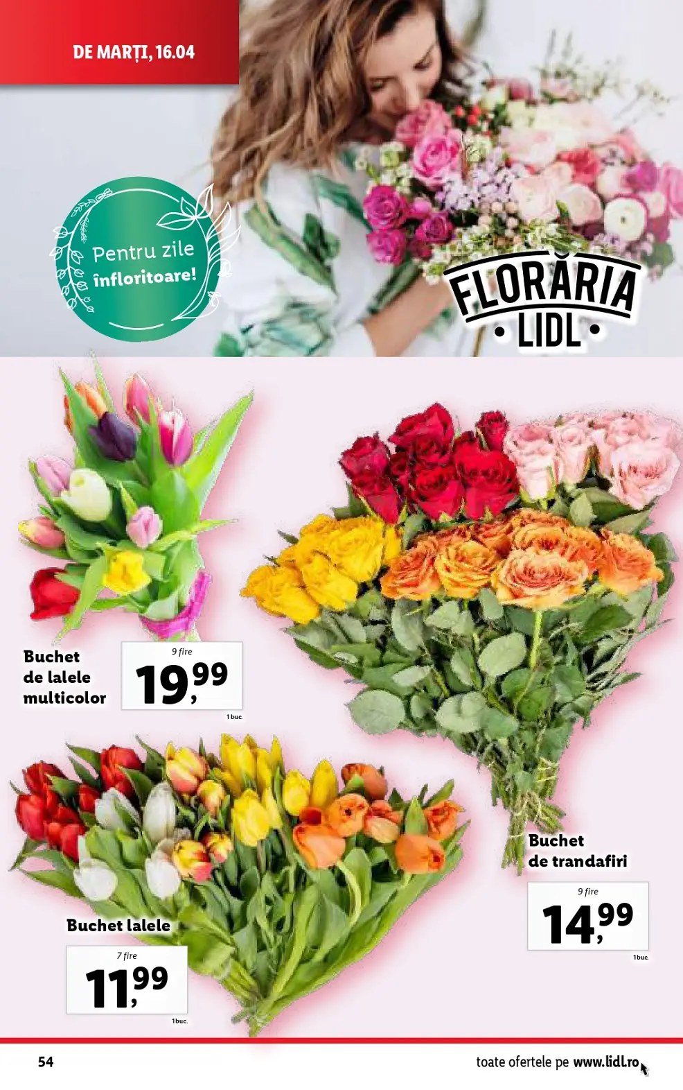 catalog Lidl